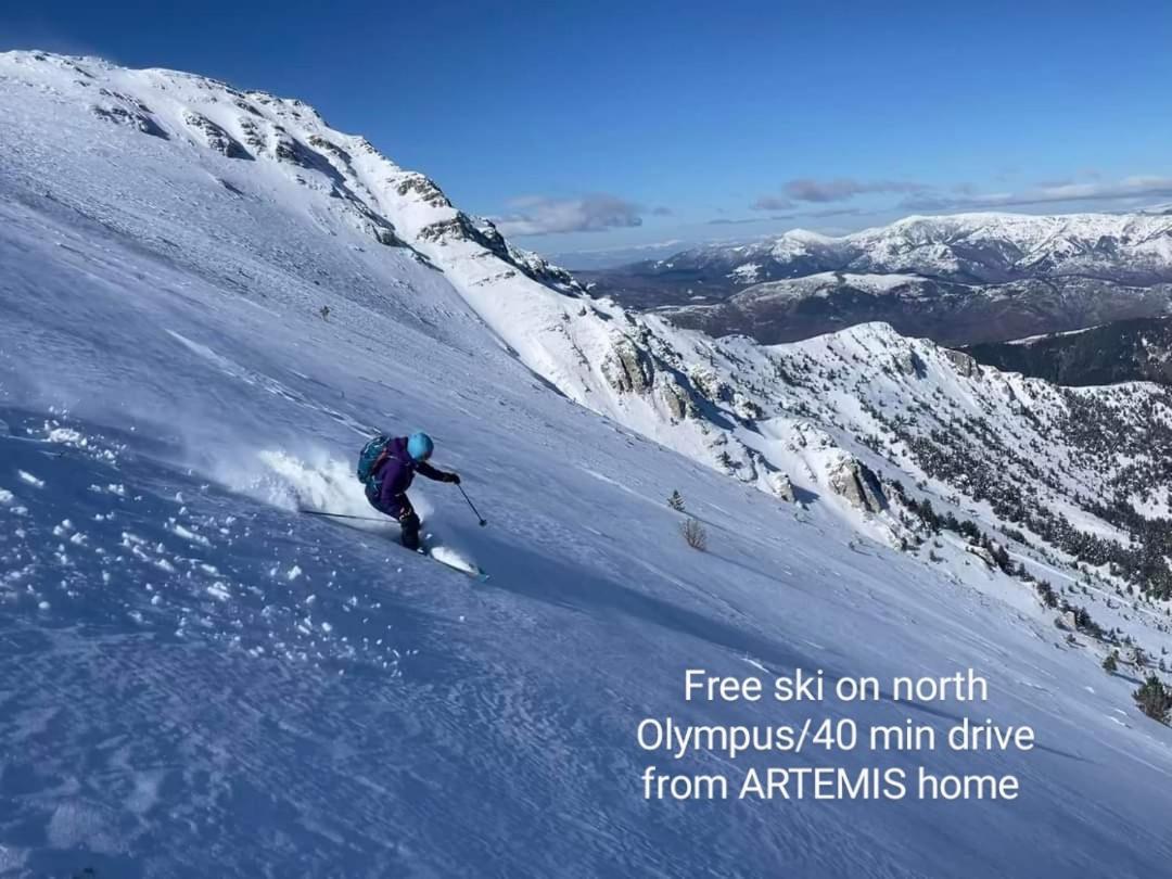 Artemis Home Pétra Esterno foto
